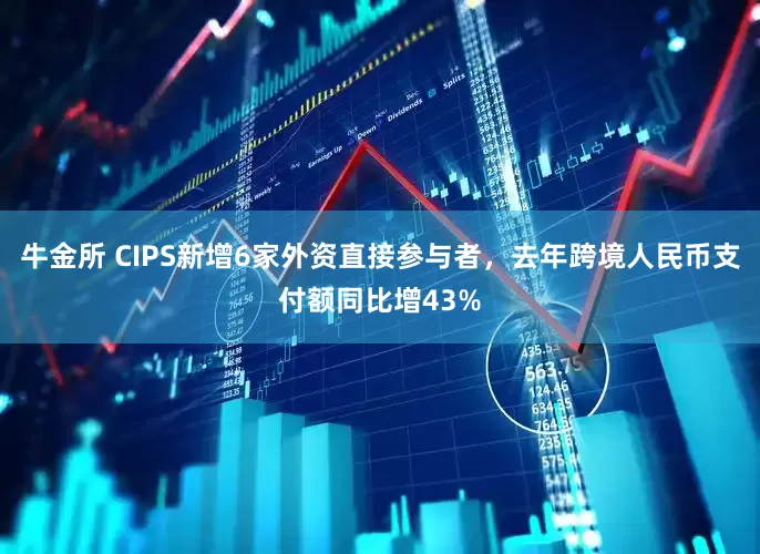 牛金所 CIPS新增6家外资直接参与者，去年跨境人民币支付额同比增43%