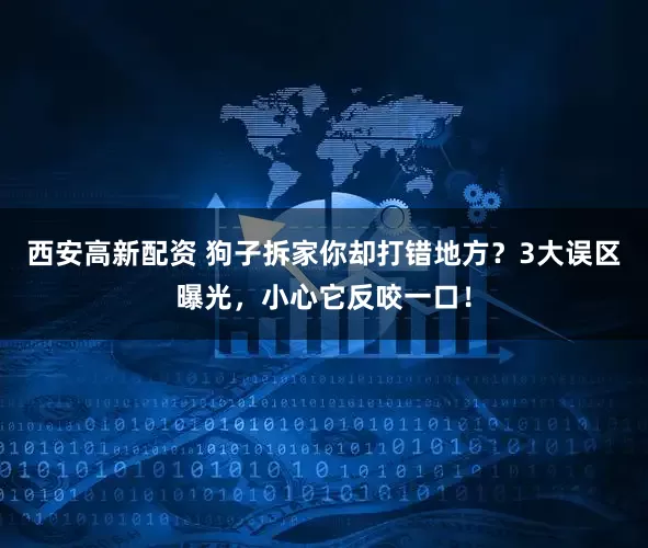 西安高新配资 狗子拆家你却打错地方？3大误区曝光，小心它反咬一口！