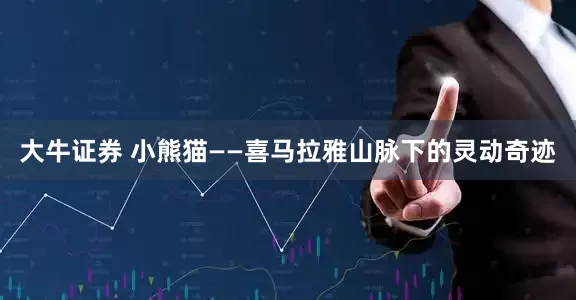 大牛证券 小熊猫——喜马拉雅山脉下的灵动奇迹